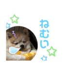 すたんぷぽん太（個別スタンプ：6）