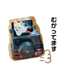 すたんぷぽん太（個別スタンプ：7）