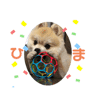 すたんぷぽん太（個別スタンプ：9）