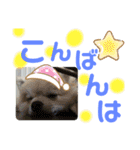 すたんぷぽん太（個別スタンプ：10）