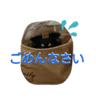 くーまのスタンプ（個別スタンプ：8）