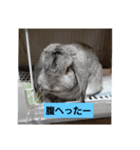 うめちゃーん（個別スタンプ：2）