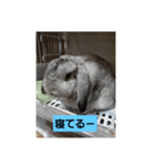 うめちゃーん（個別スタンプ：5）