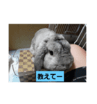 うめちゃーん（個別スタンプ：7）