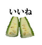 ゴーヤ☆スタンプ（個別スタンプ：5）