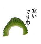 ゴーヤ☆スタンプ（個別スタンプ：8）