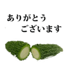 ゴーヤ☆スタンプ（個別スタンプ：12）