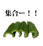 ゴーヤ☆スタンプ（個別スタンプ：22）