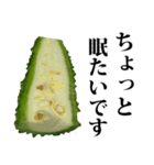 ゴーヤ☆スタンプ（個別スタンプ：30）
