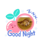 スタンプ風ちゃん（個別スタンプ：4）