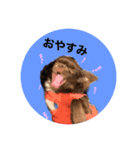 ココのlifestyle（個別スタンプ：5）