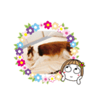 かわいいデカチワワのマロン（個別スタンプ：25）
