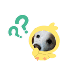 わたしのたろうさん（個別スタンプ：1）