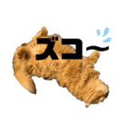 モップとミルク2（個別スタンプ：7）
