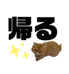 モップとミルク2（個別スタンプ：16）