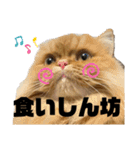 モップとミルク2（個別スタンプ：22）