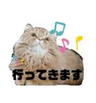 モップとミルク2（個別スタンプ：33）