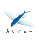 うみのいきもの いろいろ 3（個別スタンプ：1）