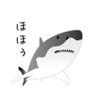 うみのいきもの いろいろ 3（個別スタンプ：5）