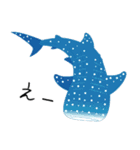 うみのいきもの いろいろ 3（個別スタンプ：13）