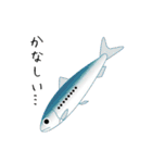 うみのいきもの いろいろ 3（個別スタンプ：19）