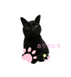 チョン太郎とプン助（個別スタンプ：2）