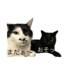 チョン太郎とプン助（個別スタンプ：3）
