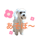ほりきりるー（個別スタンプ：4）