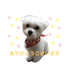 ほりきりるー（個別スタンプ：6）