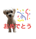 ほりきりるー（個別スタンプ：15）