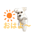 ほりきりるー（個別スタンプ：16）