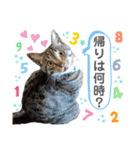 にゃにゃにゃンズ（個別スタンプ：4）