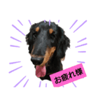 熊雄の日常（個別スタンプ：4）