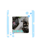 田舎者のりんさん（個別スタンプ：18）