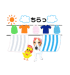 ジャックのロッタちゃん☆6（個別スタンプ：1）