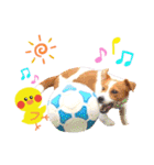 ジャックのロッタちゃん☆6（個別スタンプ：3）