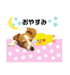 ジャックのロッタちゃん☆6（個別スタンプ：24）