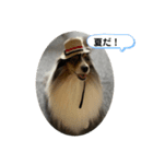 まりんの1日Ver.6（個別スタンプ：1）