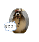 まりんの1日Ver.6（個別スタンプ：4）