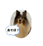 まりんの1日Ver.6（個別スタンプ：5）
