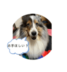 まりんの1日Ver.6（個別スタンプ：7）