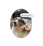 まりんの1日Ver.6（個別スタンプ：8）