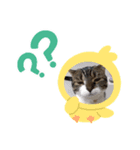 ととくん＆セレブくん（個別スタンプ：5）