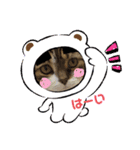 ととくん＆セレブくん（個別スタンプ：7）