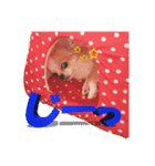 いろはロングコートチワワver.2（個別スタンプ：7）
