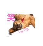 える☆きら（個別スタンプ：1）