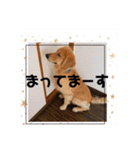 える☆きら（個別スタンプ：7）
