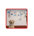 える☆きら（個別スタンプ：19）