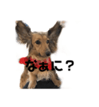 える☆きら（個別スタンプ：26）