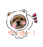 ペキプー★Chama君 3（個別スタンプ：7）